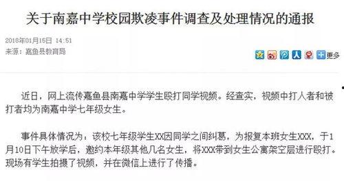 衡阳被骗爆料案件最新进展,警方全力追查，受害者权益得到关注